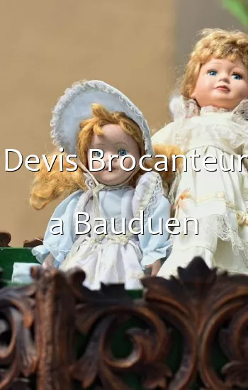 Devis Brocanteur a Bauduen