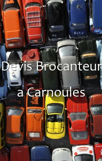 Devis Brocanteur a Carnoules