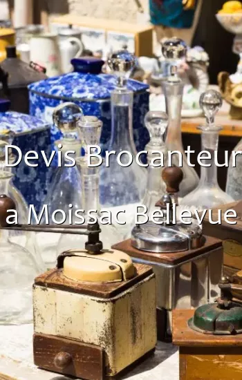 Devis Brocanteur a Moissac Bellevue